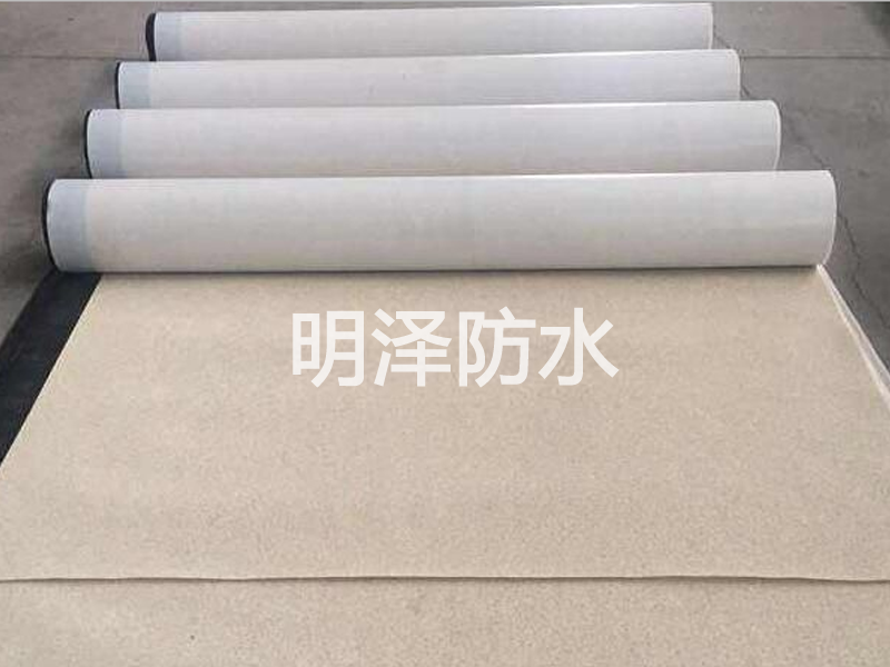 热塑性聚烯烃（TPO）防水卷材